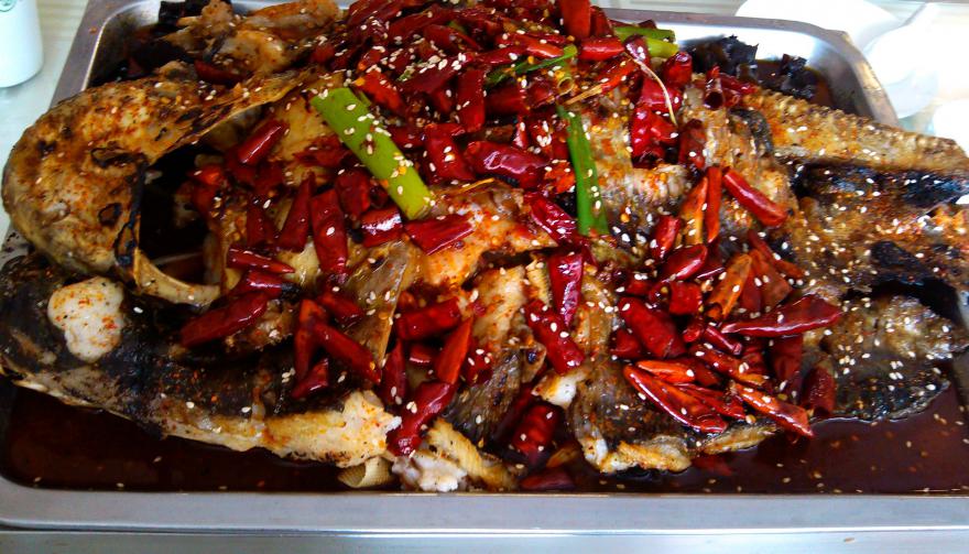 成都烤魚技術(shù)培訓(xùn) 成都烤魚技術(shù)培訓(xùn)