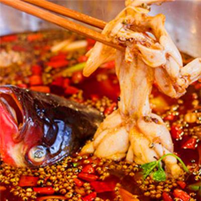 成都美蛙魚頭火鍋技術(shù)培訓哪里專業(yè)？多元化的產(chǎn)品