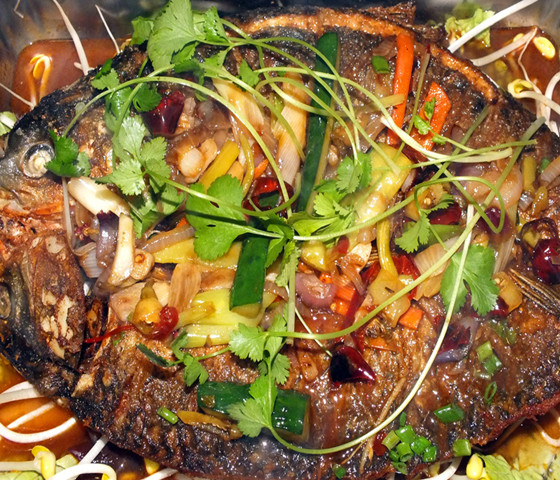 20210123124949893554.jpg 20210123124949893554.jpg