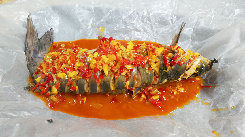 20230314174127892307.jpg 20230314174127892307.jpg